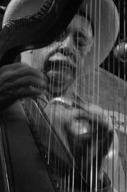 Andrés Alfonso Vergara (1921-2010)